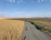 Badger Road, Kennewick, Washington 99338, 0 , 0 ,0,Agricultural Land,For Sale,Badger Road,0,288190