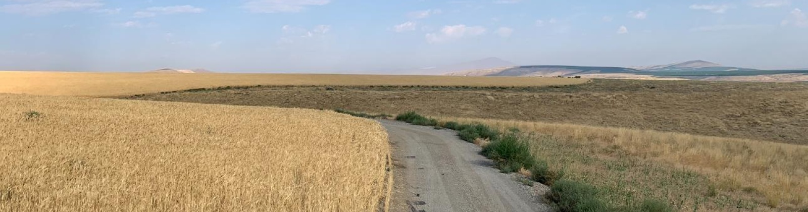 Badger Road, Kennewick, Washington 99338, 0 , 0 ,0,Agricultural Land,For Sale,Badger Road,0,288190