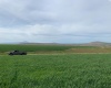 Badger Road, Kennewick, Washington 99338, 0 , 0 ,0,Agricultural Land,For Sale,Badger Road,0,288190