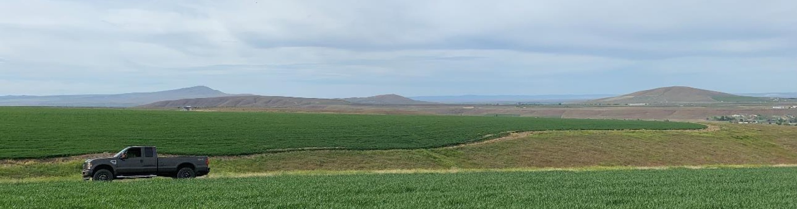 Badger Road, Kennewick, Washington 99338, 0 , 0 ,0,Agricultural Land,For Sale,Badger Road,0,288190