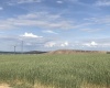 Badger Road, Kennewick, Washington 99338, 0 , 0 ,0,Agricultural Land,For Sale,Badger Road,0,288190