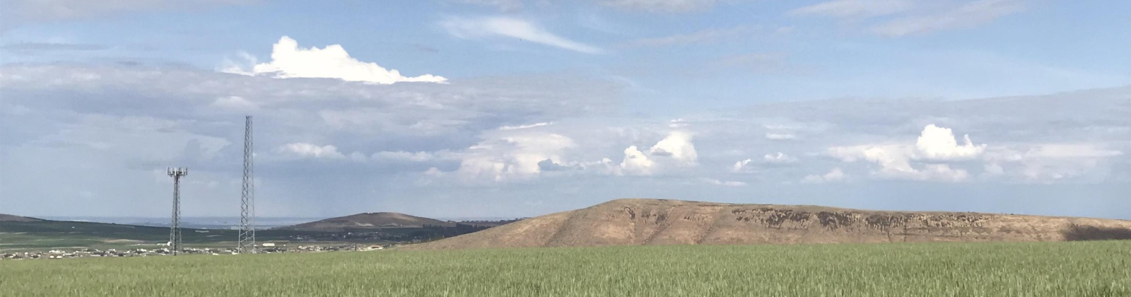 Badger Road, Kennewick, Washington 99338, 0 , 0 ,0,Agricultural Land,For Sale,Badger Road,0,288190