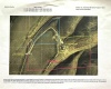 Badger Road, Kennewick, Washington 99338, 0 , 0 ,0,Agricultural Land,For Sale,Badger Road,0,288190