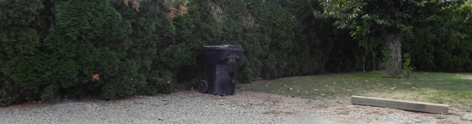 First Ave, Granger, Washington 98932, 3 Bedrooms Bedrooms, 0 ,2 BathroomsBathrooms,Houses,For Sale,First Ave,0,288206