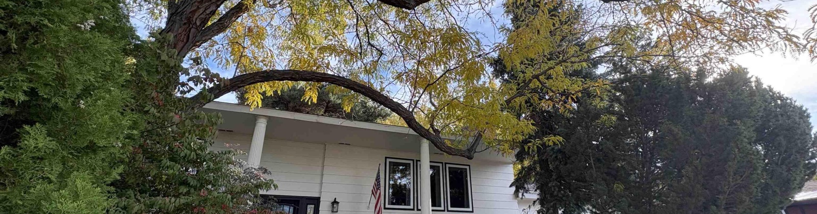 Reed Ct, Kennewick, Washington 99338, 4 Bedrooms Bedrooms, 0 ,2 BathroomsBathrooms,Houses,For Sale,Reed Ct,0,288210