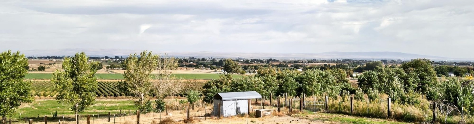 Wells Gap Rd, Prosser, Washington 99350, 3 Bedrooms Bedrooms, 0 ,2 BathroomsBathrooms,Houses,For Sale,Wells Gap Rd,0,288217