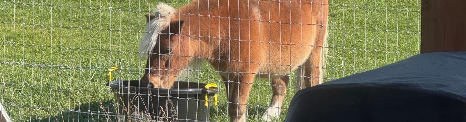 Road 52, Pasco, Washington 99301, 3 Bedrooms Bedrooms, 0 ,2 BathroomsBathrooms,Houses,For Sale,Road 52,0,288254