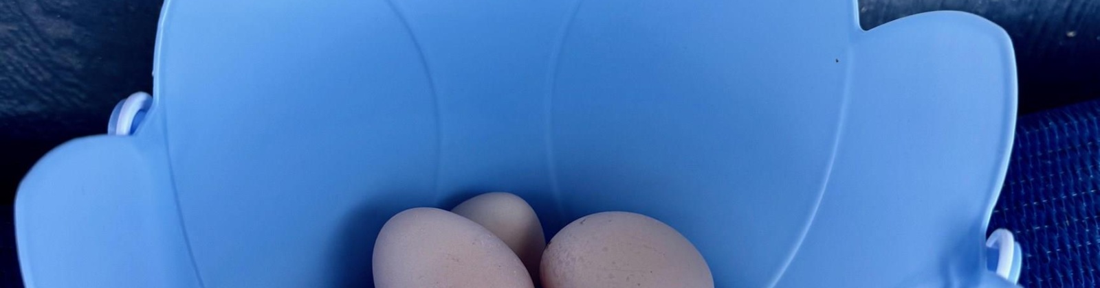 Road 52, Pasco, Washington 99301, 3 Bedrooms Bedrooms, 0 ,2 BathroomsBathrooms,Houses,For Sale,Road 52,0,288254