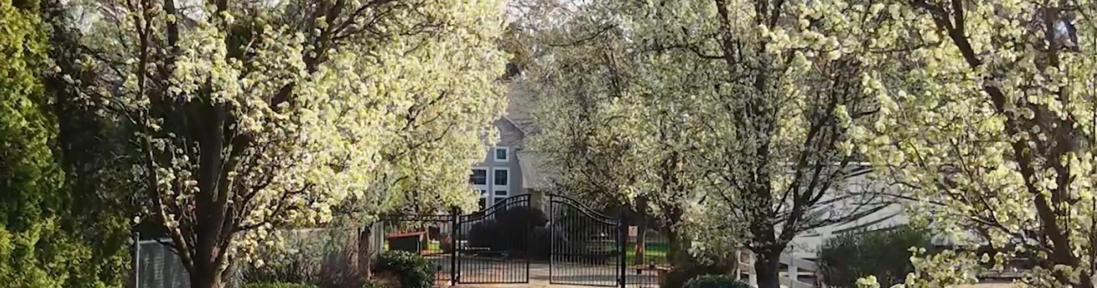 Richardson Road, Pasco, Washington 99301, 3 Bedrooms Bedrooms, 0 ,3 BathroomsBathrooms,Houses,For Sale,Richardson Road,0,288252