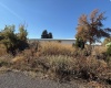 Margin St, St. John, Washington 99171, 3 Bedrooms Bedrooms, 0 ,2 BathroomsBathrooms,Manufactured Homes,For Sale,Margin St,0,288265