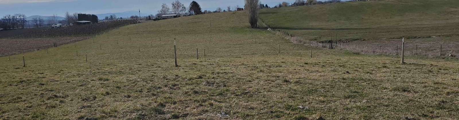 Dekker Rd., Outlook, Washington 98938, 0 , 0 ,0,Agricultural Land,For Sale,Dekker Rd.,0,288293
