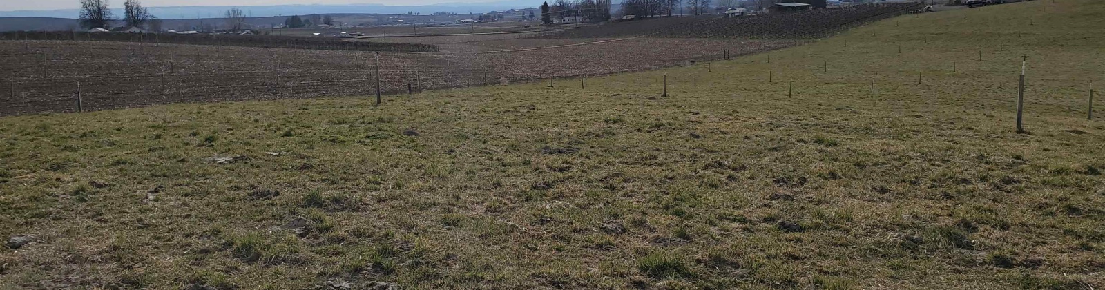 Dekker Rd., Outlook, Washington 98938, 0 , 0 ,0,Agricultural Land,For Sale,Dekker Rd.,0,288293