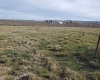 Dekker Rd., Outlook, Washington 98938, 0 , 0 ,0,Agricultural Land,For Sale,Dekker Rd.,0,288293