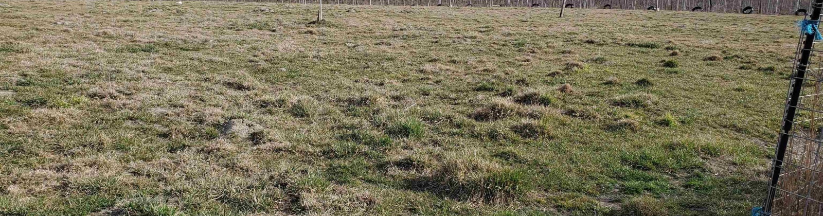 Dekker Rd., Outlook, Washington 98938, 0 , 0 ,0,Agricultural Land,For Sale,Dekker Rd.,0,288293