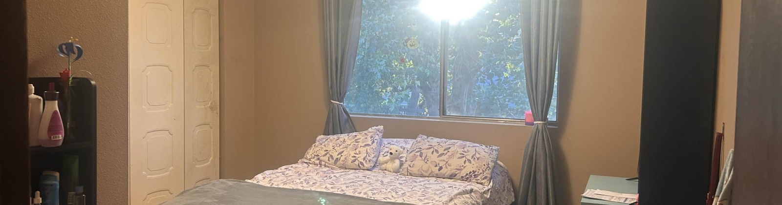 Semillon Place, Prosser, Washington 99350, 4 Bedrooms Bedrooms, 0 ,3 BathroomsBathrooms,Houses,For Sale,Semillon Place,0,288285