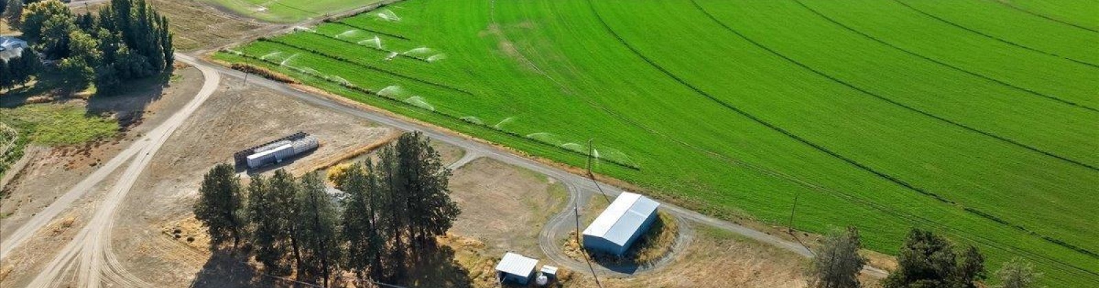 Phend Lane, Pasco, Washington 99301-9680, 2 Bedrooms Bedrooms, 0 ,2 BathroomsBathrooms,Houses,For Sale,Phend Lane,0,288317