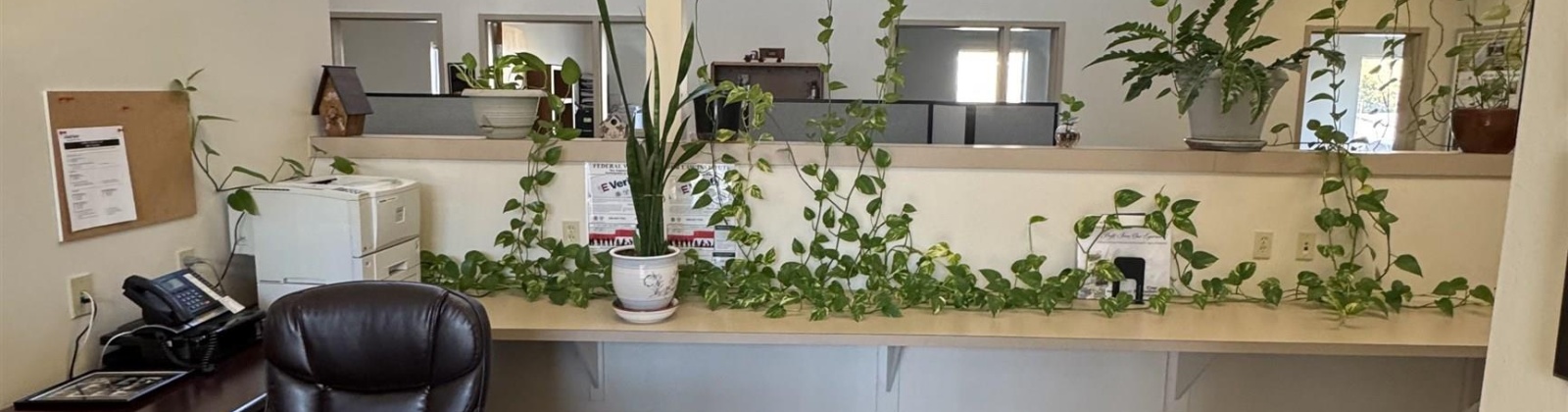 Hood Place, Kennewick, Washington 99336, 0 , 0 ,11 BathroomsBathrooms,Commercial,For Sale,Hood Place,0,288352