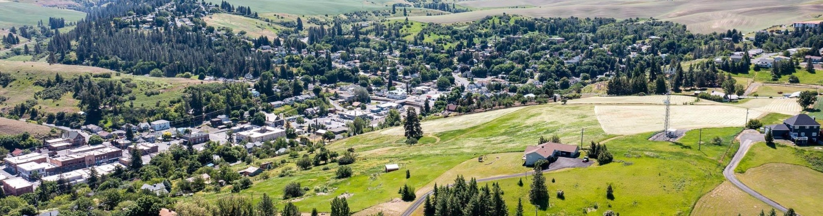 Orchard, Colfax, Washington 99111, 0 , 0 ,0,Land/lots,For Sale,Orchard,0,288378