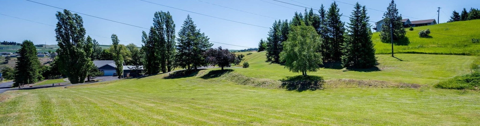 Orchard, Colfax, Washington 99111, 0 , 0 ,0,Land/lots,For Sale,Orchard,0,288378