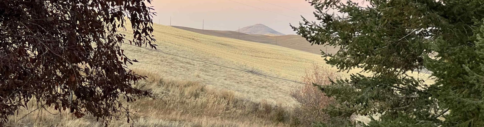 Orchard, Colfax, Washington 99111, 0 , 0 ,0,Land/lots,For Sale,Orchard,0,288378