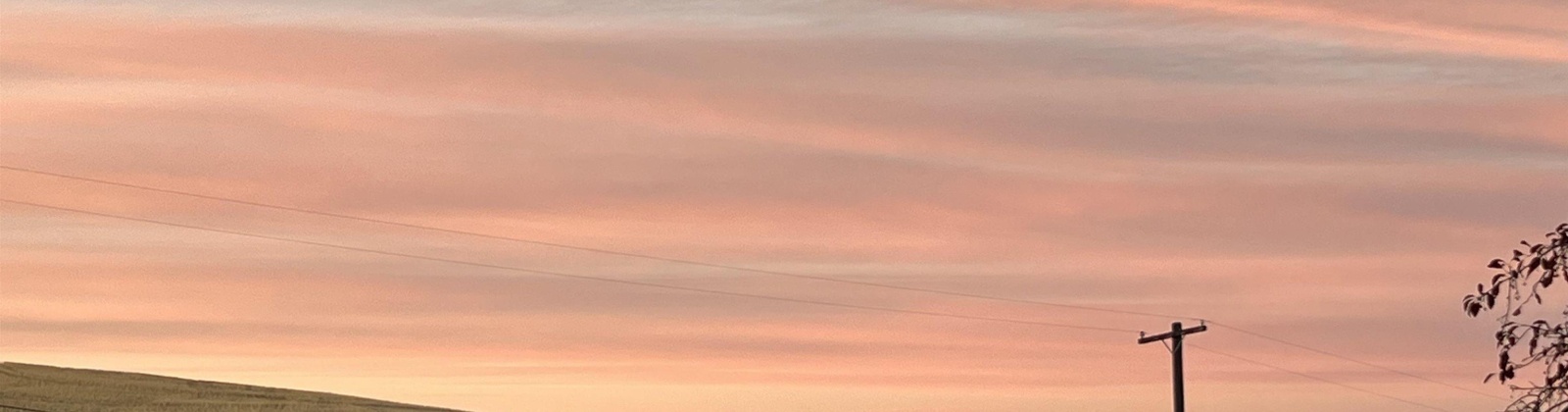 Orchard, Colfax, Washington 99111, 0 , 0 ,0,Land/lots,For Sale,Orchard,0,288378