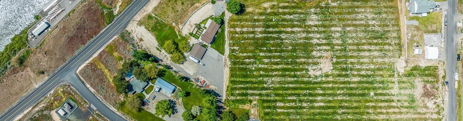 Whan Road, Benton City, Washington 99320, 0 , 0 ,0,Land/lots,For Sale,Whan Road,0,274694