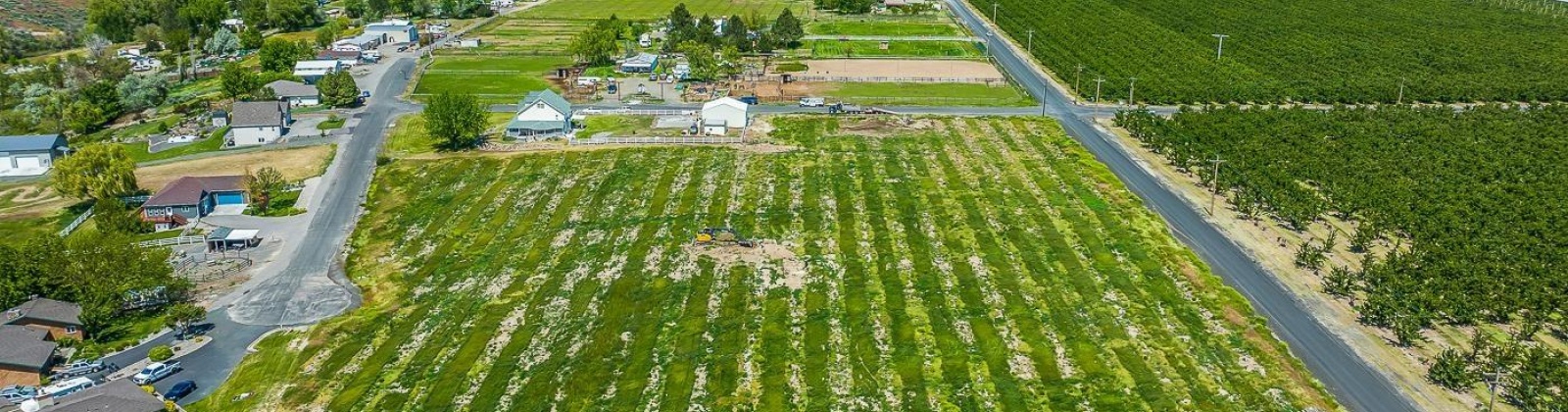 Whan Road, Benton City, Washington 99320, 0 , 0 ,0,Land/lots,For Sale,Whan Road,0,274694