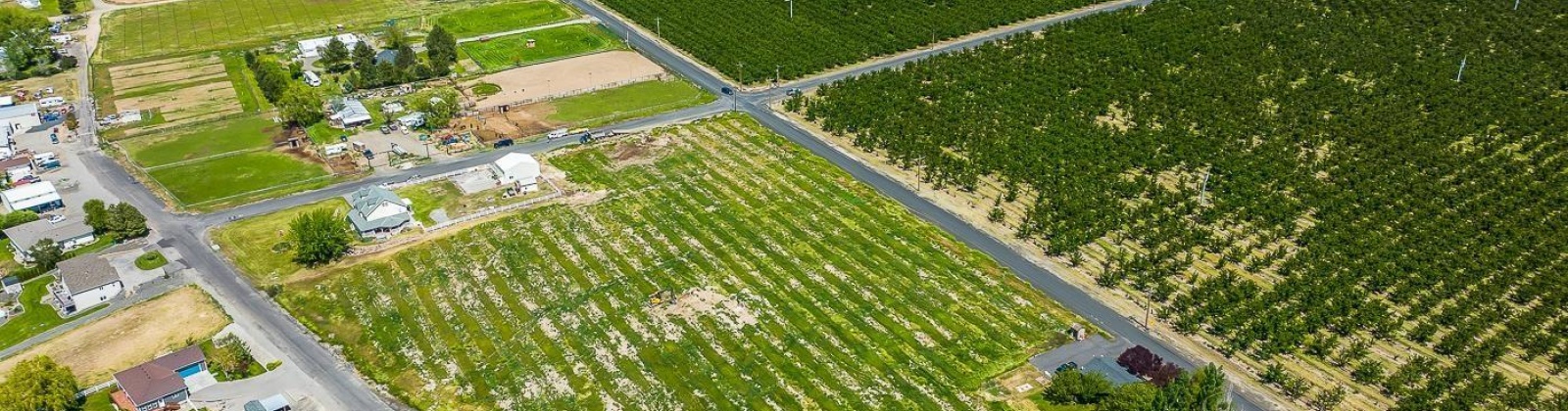 Whan Road, Benton City, Washington 99320, 0 , 0 ,0,Land/lots,For Sale,Whan Road,0,274694