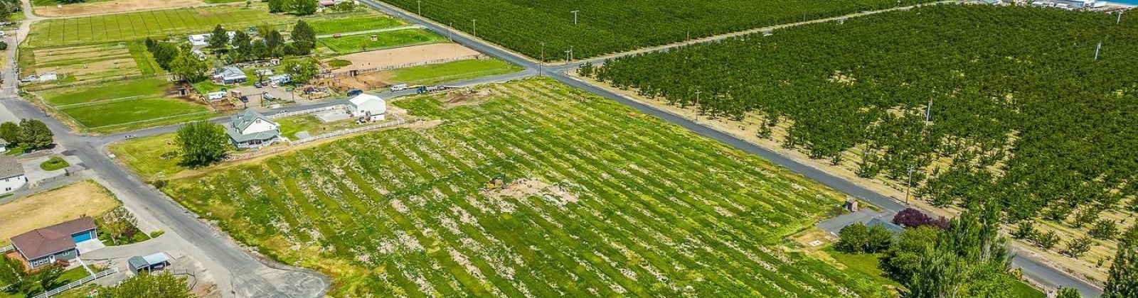 Whan Road, Benton City, Washington 99320, 0 , 0 ,0,Land/lots,For Sale,Whan Road,0,274694