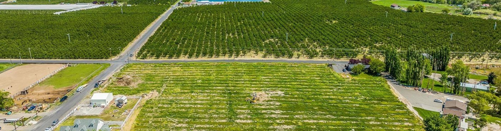 Whan Road, Benton City, Washington 99320, 0 , 0 ,0,Land/lots,For Sale,Whan Road,0,274694