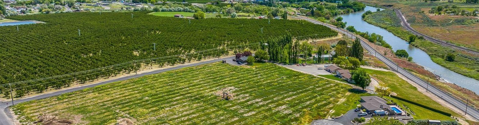 Whan Road, Benton City, Washington 99320, 0 , 0 ,0,Land/lots,For Sale,Whan Road,0,274694