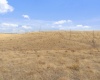 Airport Rd Parcel D, Connell, Washington 99326, 0 , 0 ,0,Agricultural Land,For Sale,Airport Rd Parcel D,0,288401
