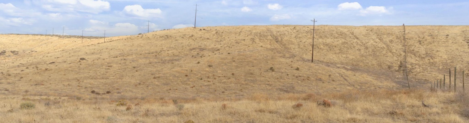 Airport Rd Parcel D, Connell, Washington 99326, 0 , 0 ,0,Agricultural Land,For Sale,Airport Rd Parcel D,0,288401