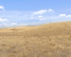 Airport Rd Parcel D, Connell, Washington 99326, 0 , 0 ,0,Agricultural Land,For Sale,Airport Rd Parcel D,0,288401