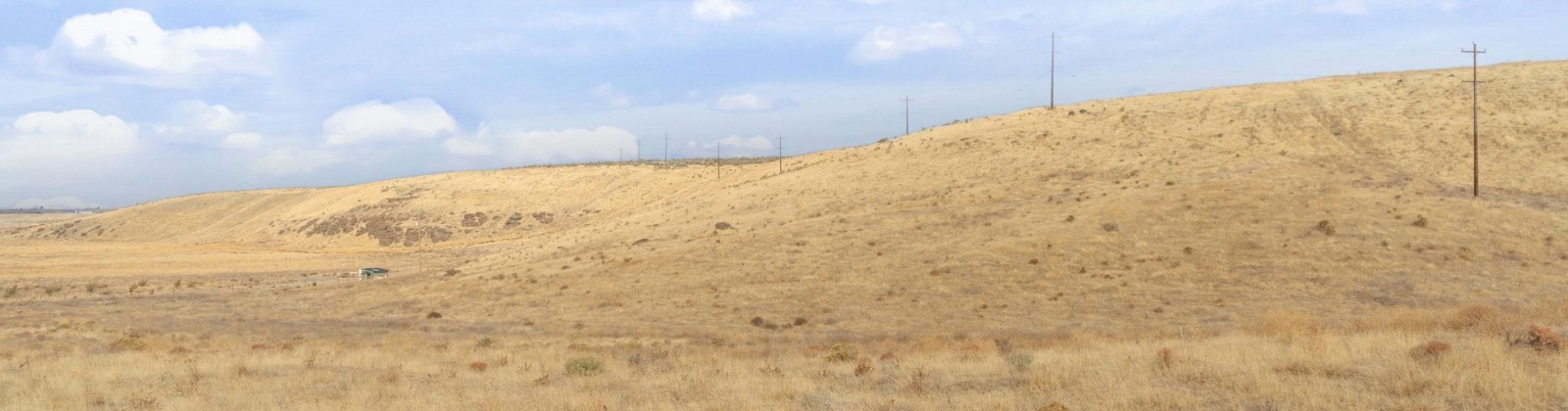 Airport Rd Parcel D, Connell, Washington 99326, 0 , 0 ,0,Agricultural Land,For Sale,Airport Rd Parcel D,0,288401