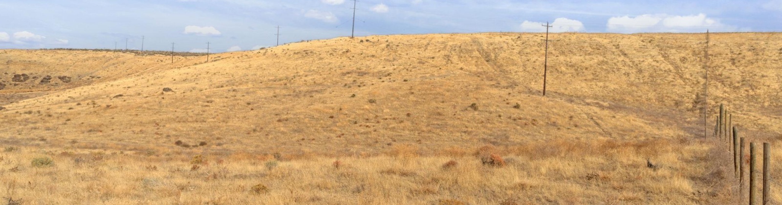 Airport Rd Parcel D, Connell, Washington 99326, 0 , 0 ,0,Agricultural Land,For Sale,Airport Rd Parcel D,0,288401