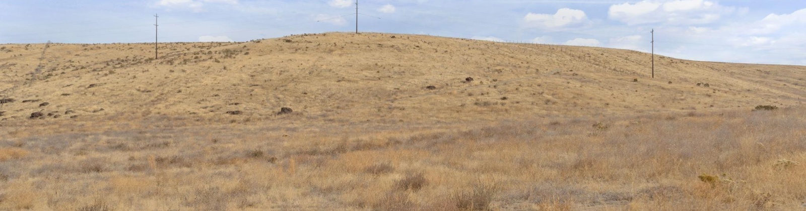 Airport Rd Parcel D, Connell, Washington 99326, 0 , 0 ,0,Agricultural Land,For Sale,Airport Rd Parcel D,0,288401