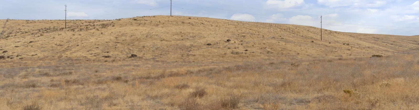 Airport Rd Parcel D, Connell, Washington 99326, 0 , 0 ,0,Agricultural Land,For Sale,Airport Rd Parcel D,0,288401