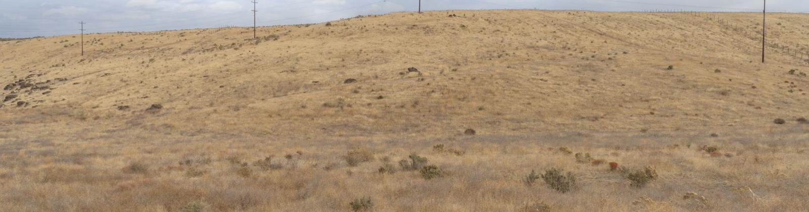 Airport Rd Parcel D, Connell, Washington 99326, 0 , 0 ,0,Agricultural Land,For Sale,Airport Rd Parcel D,0,288401