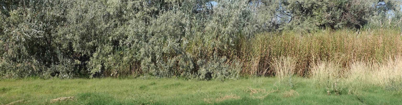 Jericho Rd, Richland, Washington 99352, 0 , 0 ,0,Commercial,For Sale,Jericho Rd,0,287478