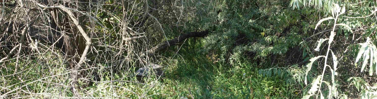 Jericho Rd, Richland, Washington 99352, 0 , 0 ,0,Commercial,For Sale,Jericho Rd,0,287478