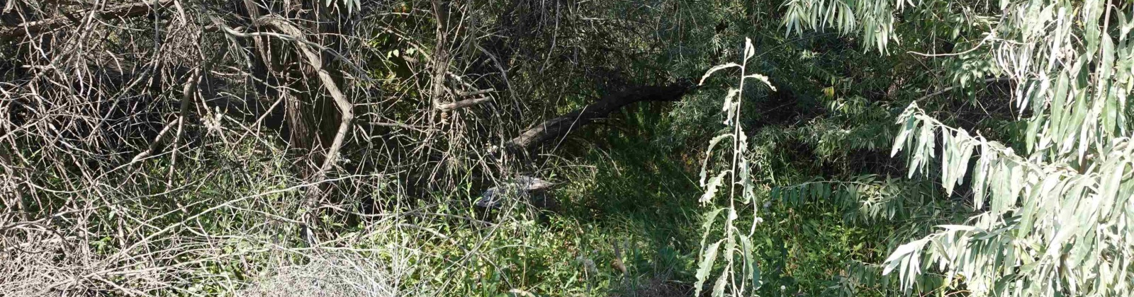 Jericho Rd, Richland, Washington 99352, 0 , 0 ,0,Commercial,For Sale,Jericho Rd,0,287478