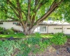 Mill St., Colfax, Washington 99111, 3 Bedrooms Bedrooms, 0 ,2 BathroomsBathrooms,Houses,For Sale,Mill St.,0,288396
