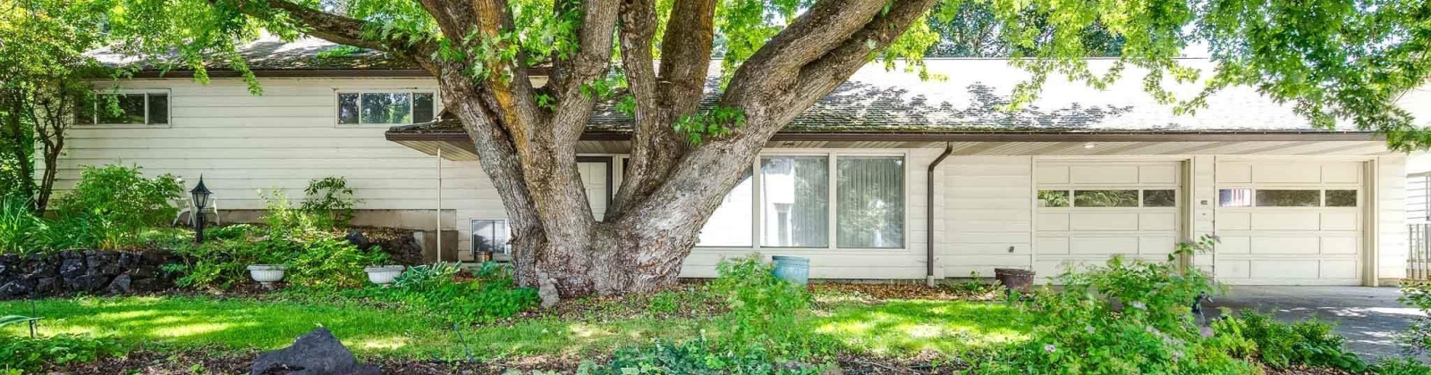 Mill St., Colfax, Washington 99111, 3 Bedrooms Bedrooms, 0 ,2 BathroomsBathrooms,Houses,For Sale,Mill St.,0,288396