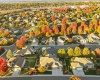 6th Avenue, Kennewick, Washington 99336, 4 Bedrooms Bedrooms, 0 ,3 BathroomsBathrooms,Houses,For Sale,6th Avenue,0,288423