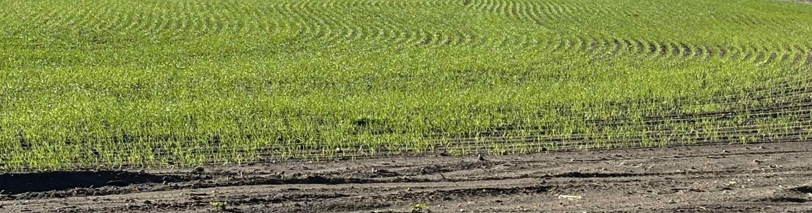 Vineyard Drive (Parcel C), Pasco, Washington 99301-0000, 0 , 0 ,0,Agricultural Land,For Sale,Vineyard Drive (Parcel C),0,288488