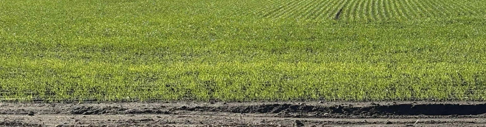 Vineyard Drive (Parcel C), Pasco, Washington 99301-0000, 0 , 0 ,0,Agricultural Land,For Sale,Vineyard Drive (Parcel C),0,288488