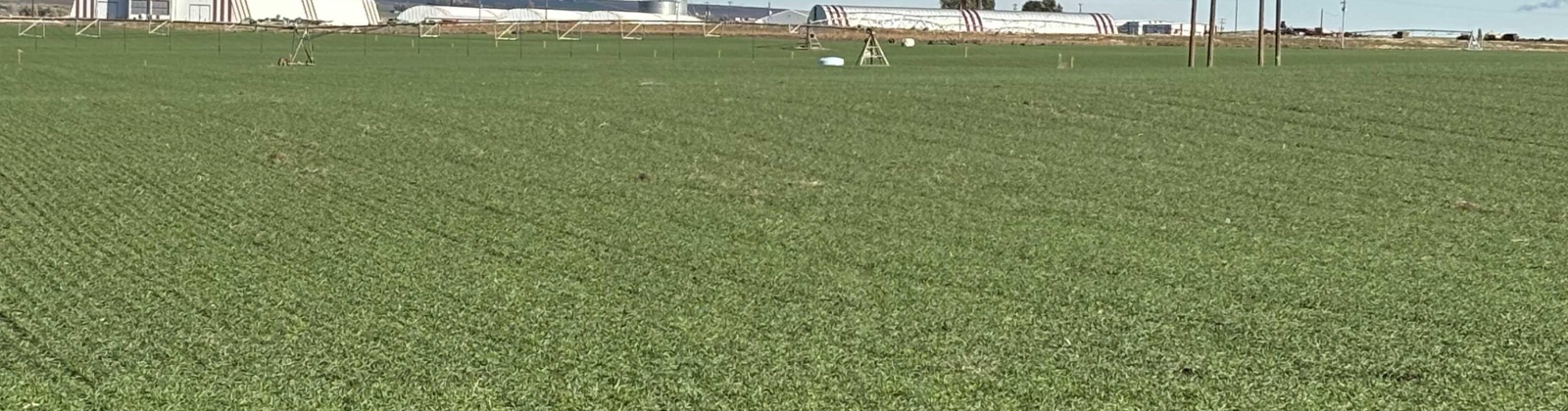 Vineyard Drive (Parcel C), Pasco, Washington 99301-0000, 0 , 0 ,0,Agricultural Land,For Sale,Vineyard Drive (Parcel C),0,288488