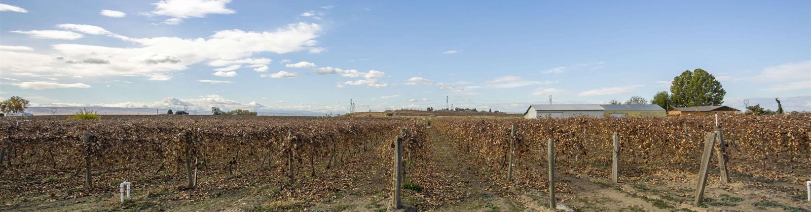 Forsell Road, Grandview, Washington 98930, 0 , 0 ,0,Land/lots,For Sale,Forsell Road,0,279852