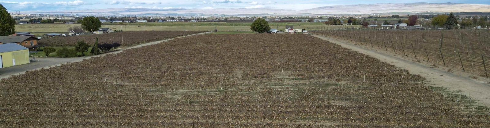 Forsell Road, Grandview, Washington 98930, 0 , 0 ,0,Land/lots,For Sale,Forsell Road,0,279852